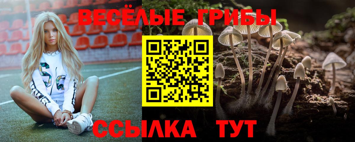 Псилоцибиновые грибы Psilocybe  закладка  Златоуст  Вход с VPN  Псилоцибиновые грибы прущие грибы 